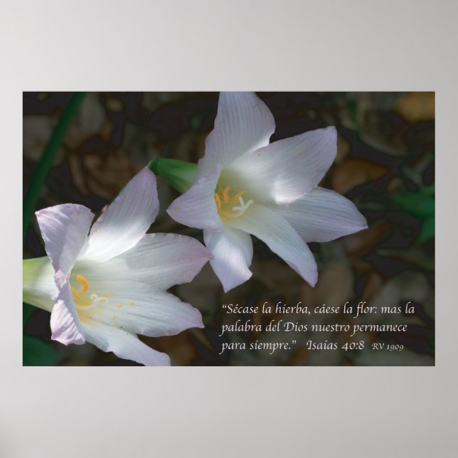 Isaias 40:8 con Lirios Poster (Front)