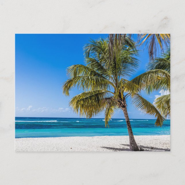 Isla Saona Beach Domenican Republic gift Poster Holiday Postcard (Front)