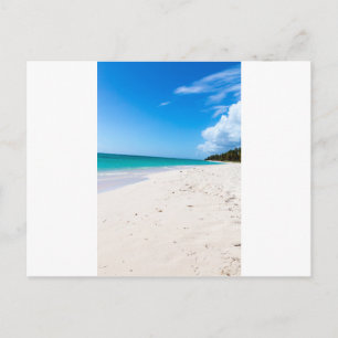 Isla Saona beach in the Caribbean Postcard