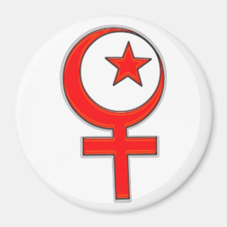 Islamic feminism... magnet