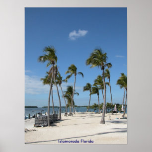 Islamorada Florida Poster