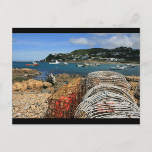 Island Bay, Wellington Postcard
