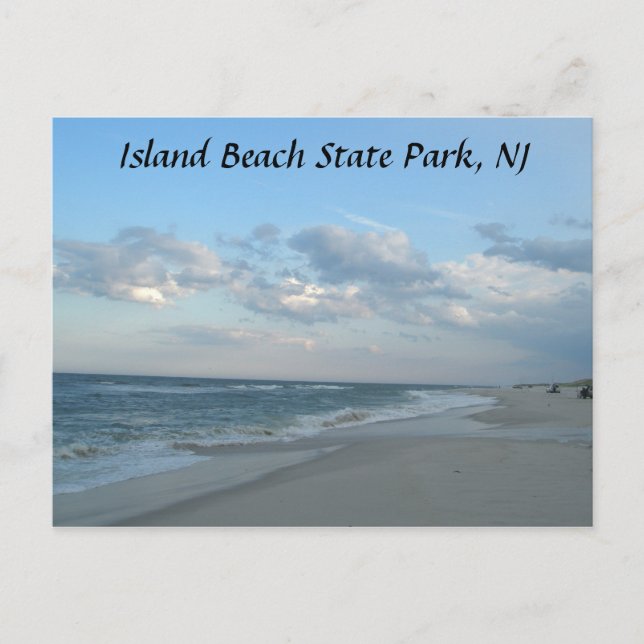 Island Beach State Park, NJ Postcard (Front)