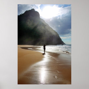 Island in the Sun Poster