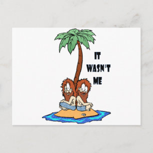 Island Lies Postcard