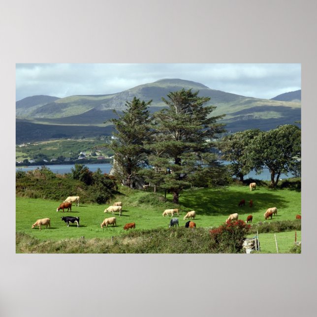 island meadow poster (Front)