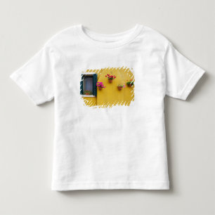 Island of Burano, Burano, Italy. Colourful Burano Toddler T-Shirt