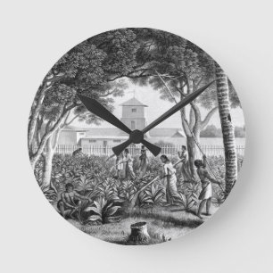 Island of Guam: Natives at Work in the Garden of t Round Clock