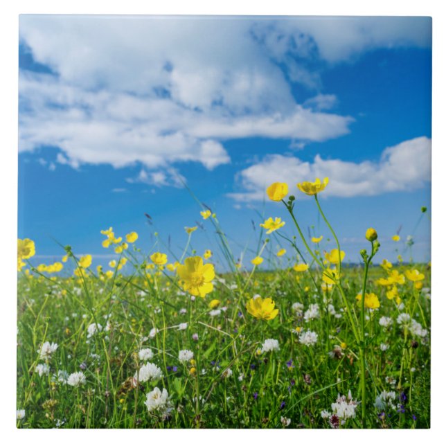 island of South Uist | Scotland Ceramic Tile (Front)