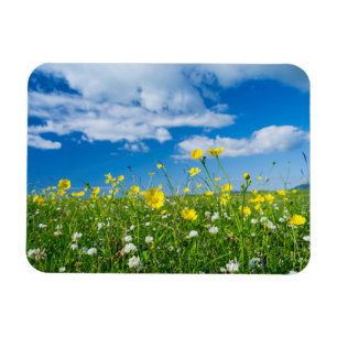 island of South Uist Scotland Magnet