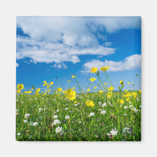 island of South Uist Scotland Magnet