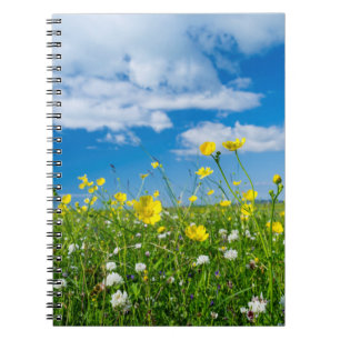 island of South Uist   Scotland Notebook