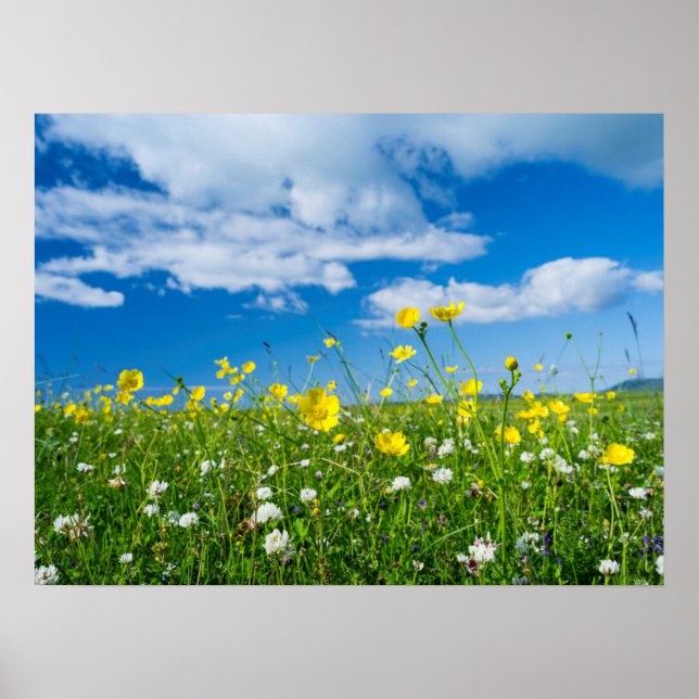 island of South Uist | Scotland Poster (Front)