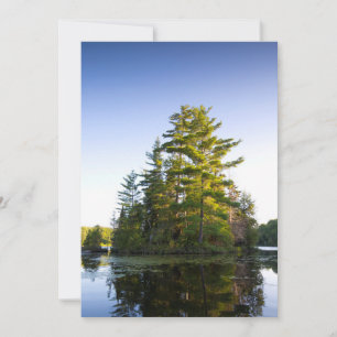 Island on Lake Long Pond Thank You Card