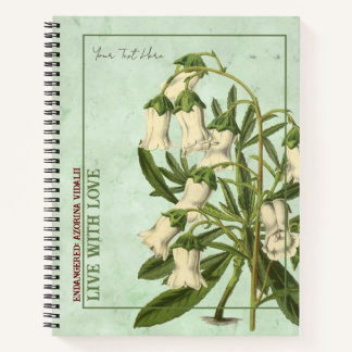 Island Serenity: Azorina Vidalii Notebook