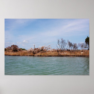 Island Vegetation 1 Poster