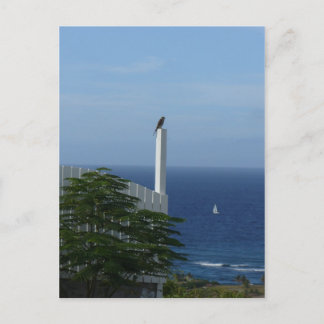 Island View Postcard