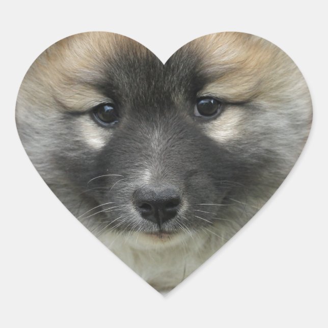 Islandhund Heart Sticker (Front)