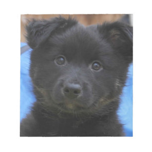 Islandhund - Icelandic Sheepdog Notepad