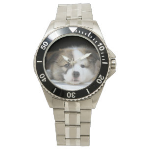 Islandhund - Icelandic Sheepdog Watch