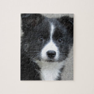 Islandhund Jigsaw Puzzle