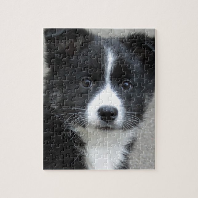Islandhund Jigsaw Puzzle (Vertical)