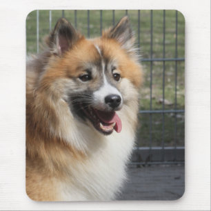 Islandhund Mouse Pad