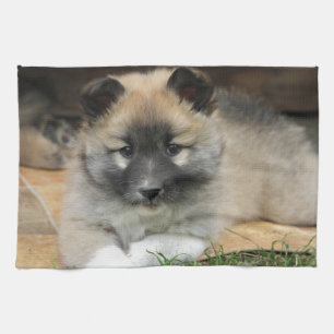 Islandhund Tea Towel