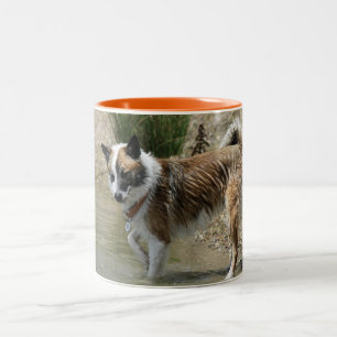 Islandhund Two-Tone Coffee Mug