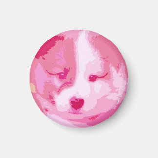 Islandhund Welpe als Collage in rosa Magnet