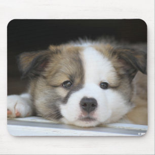 Islandhundewelpe Mouse Pad