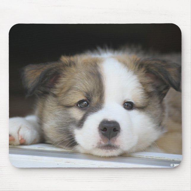 Islandhundewelpe Mouse Pad (Front)
