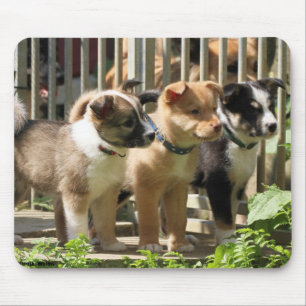 Islandhundewelpen Mouse Pad