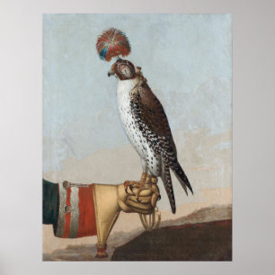 Islandic Gyrfalcon Poster