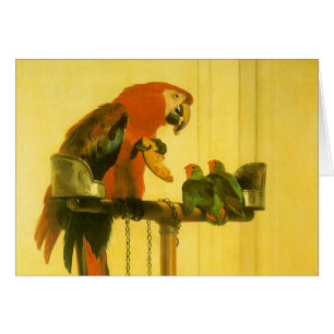 Islay, Tilco, a Macaw and Love Birds by Landseer