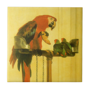 Islay, Tilco, a Macaw and Love Birds by Landseer Ceramic Tile