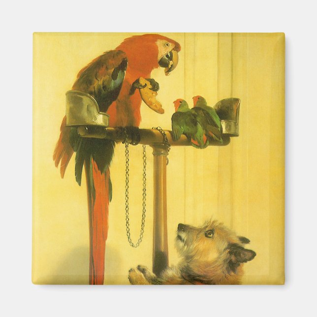 Islay, Tilco, a Macaw and Love Birds by Landseer Magnet (Front)