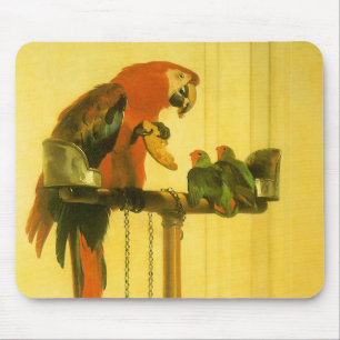 Islay, Tilco, a Macaw and Love Birds by Landseer Mouse Pad