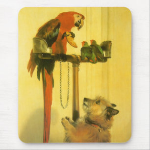 Islay, Tilco, a Macaw and Love Birds by Landseer Mouse Pad