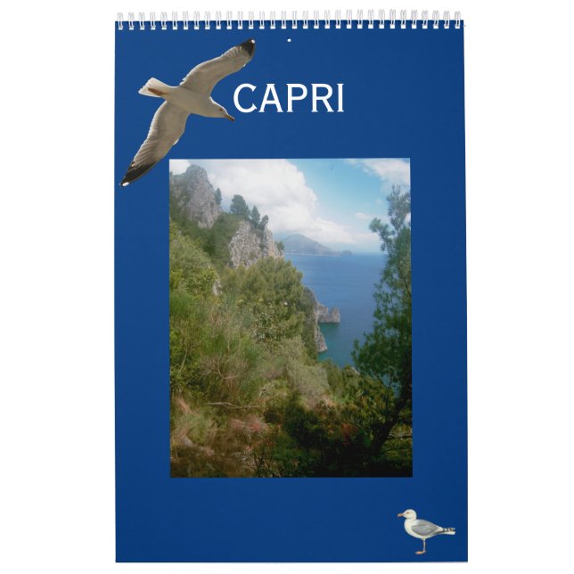 Isle of Capri Wall Calendar (Cover)