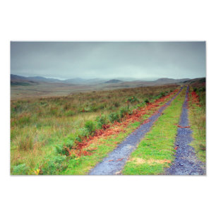 Isle of Jura track, Scotland Photo Print