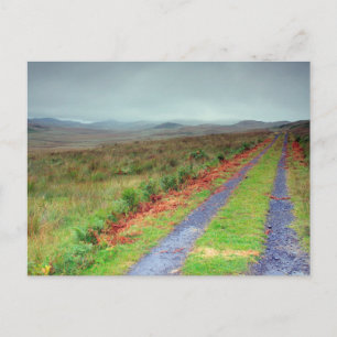 Isle of Jura track, Scotland Postcard