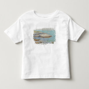 Isles of Shoals, 1899 (oil on canvas) Toddler T-Shirt