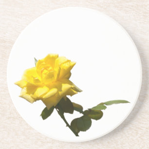 Isolate Yellow rose Coaster