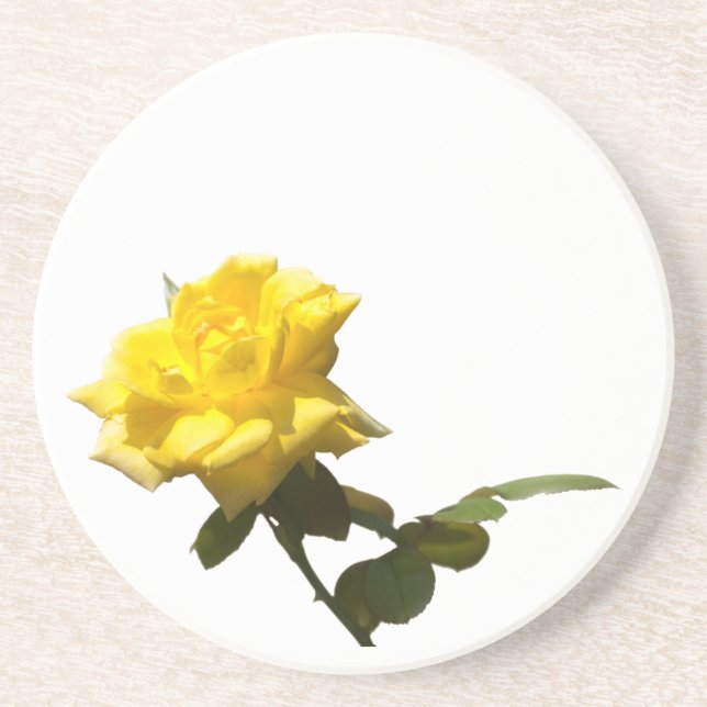 Isolate Yellow rose Coaster (Front)