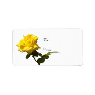 Isolate Yellow rose - template Label