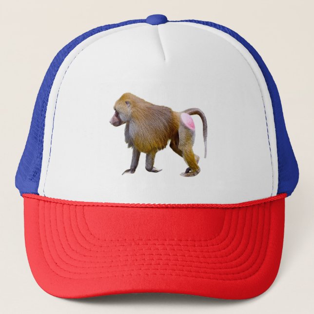 Isolated baboon walking postcard square sticker trucker hat (Front)