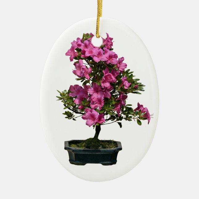 Isolated bonsai rhododendron blooming ceramic tree decoration (Front)
