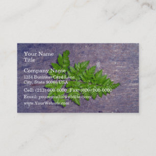 Isolated fresh fern leaf business card