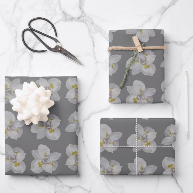 Isolated iris white flower motif seamless pattern wrapping paper sheet (Front)